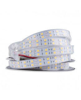 Светодиодная лента 5050 LUX LEDx120x2-SQPII-W Белый 24В, 28.8Вт IP67