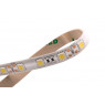 Светодиодная лента 5050 LUX LEDx60x1-SQRI-Y Желтый 12В, 14.4Вт IP65