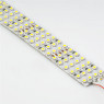 Светодиодная лента 3528х2400 LUX LEDx480х4-spr-w Белый 24В 19Вт/м