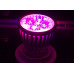 Светодиодная лампа Е27 10Вт Led-fl-10w
