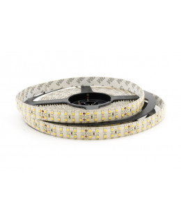 Светодиодная лента 3528 LUX LEDx240x2-SPPI-B Синий 24В, 19.2Вт IP65-foto2