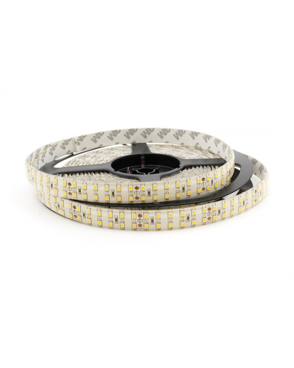 Светодиодная лента 3528 LUX LEDx240x2-SPPI-B Синий 24В, 19.2Вт IP65
